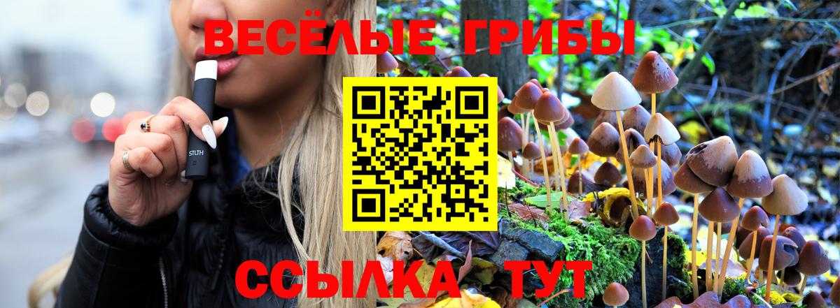 Псилоцибиновые грибы Magic Shrooms  Галлюциногенные грибы ЛСД  Кирово-Чепецк  Вход с VPN 