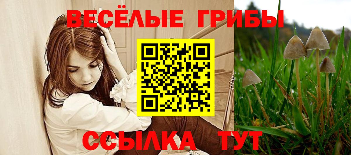 Галлюциногенные грибы MAGIC MUSHROOMS Кирово-Чепецк